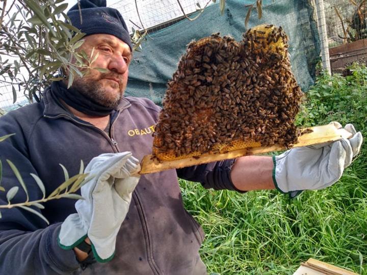 Bed and Breakfast Il Filo Di Paglia Comiso Zewnętrze zdjęcie